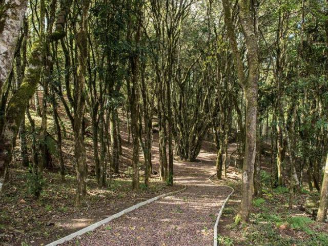 #2 - Terreno em condomínio para Venda em Caxias do Sul - RS